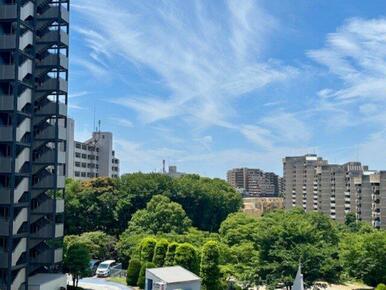バルコニーから見た南西側の眺望です。2025年6月撮影