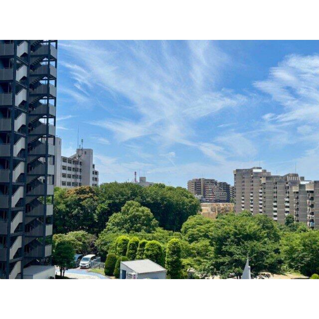 バルコニーから見た南西側の眺望です。2025年6月撮影