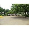 公園