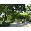 公園