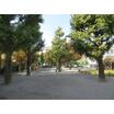 公園