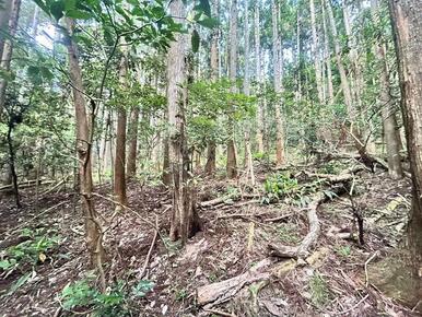 １９９９坪の広い土地だから使い方色々