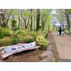 公園