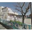 幼稚園、保育園