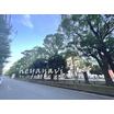 公園