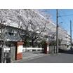 小学校