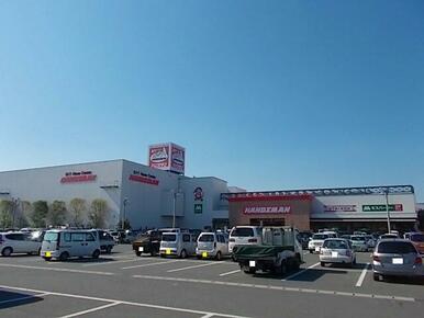 ハンズマン菊陽店