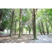 公園