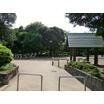 公園