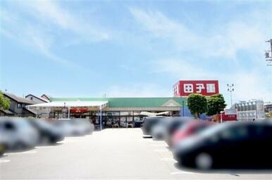 田子重セナ店