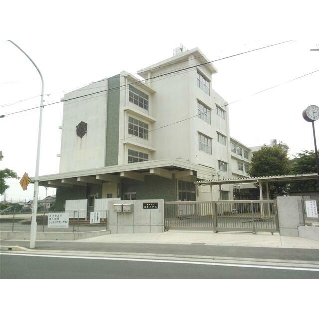 西奈小学校