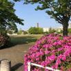 公園