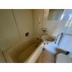 バス/シャワー