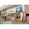 ショッピング施設