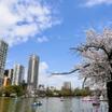 公園