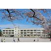 小学校