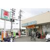 販売店