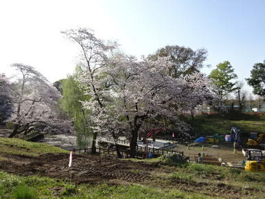 八幡山公園