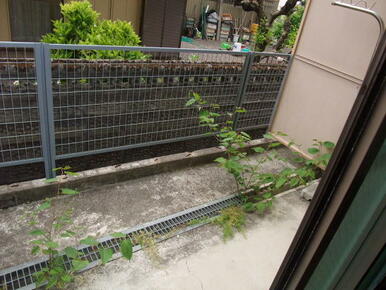 専用庭