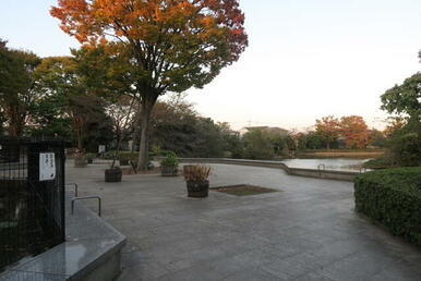 大池親水公園