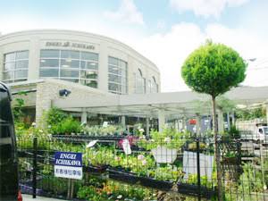 園芸いちかわ園芸店