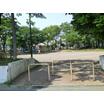 公園