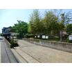 公園