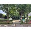 公園