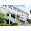 大学