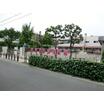 幼稚園、保育園