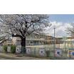 幼稚園、保育園