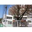 幼稚園、保育園