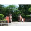 大学