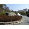 大学