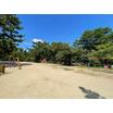 公園