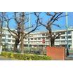 小学校
