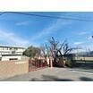 小学校