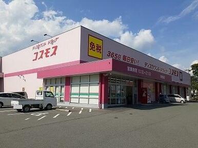 コスモス　内牧店