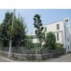 幼稚園、保育園