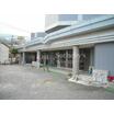 幼稚園、保育園