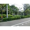 公園