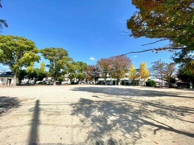 南部第一公園