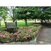 公園