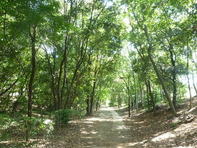 葛が谷公園