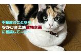 情報提供会社