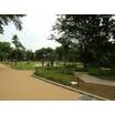公園