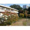 中学校