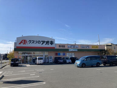 クスリのアオキ西大宮店