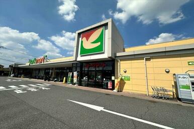 ヨークマート 入間扇台店