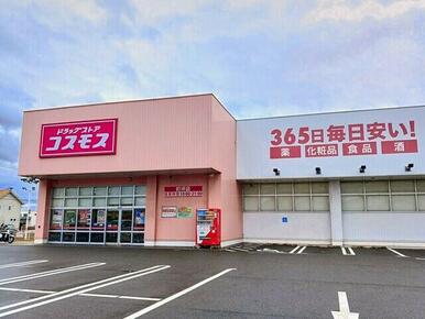 コスモス